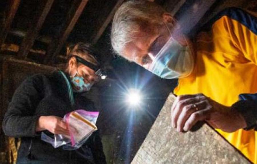 people looking at a piece of wood